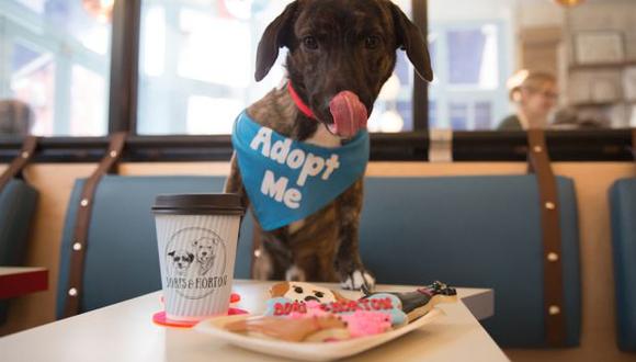 La cafetería fue creada por Coppy Holzman y su hija Logan Mikhly, dueños de los perros Boris y Horton. (Foto: Instagram)