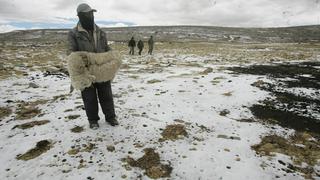 Gobierno construirá viviendas rurales bioclimáticas en Fase 1 de la reactivación económica