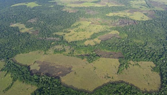 Imagen principal: Deforestación en Colombia. Foto: Sinchi.