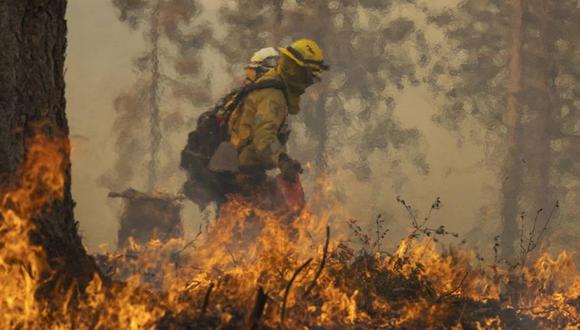 El incendio McKinney ya lleva más de 22 mil hectáreas consumidas mientras cientos de bomberos luchan por sofocar el fuego. (Foto: AFP)