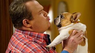 Muere Stella, la amada perrita de “Modern Family”