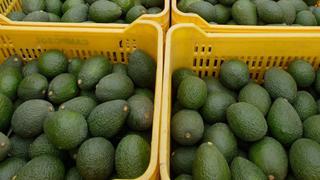 En época de pandemia por coronavirus, los aguacates están de moda, la panceta de cerdo no