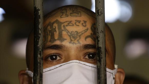 Cabecillas de la pandilla Mara Salvatrucha (MS-13) huyeron a México para sortear la guerra que declarada por el presidente Nayib Bukele en El Salvador, informó el gobierno.