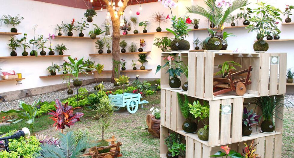 Cinco Buenos Lugares Para Comprar Plantas Decorativas En Lima Casa