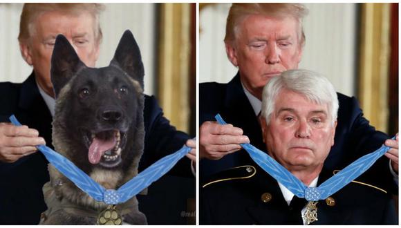 El montaje que usó Donald Trump para mostrar la “condecoración” al perro héroe que participó en el operativo que acabó con la vida de Abu Bakr al Baghdadi. (Foto: Twitter / AP)