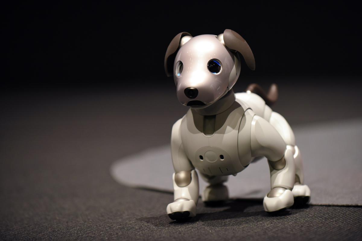 Aibo, el perro robot dotado de inteligencia artificial
