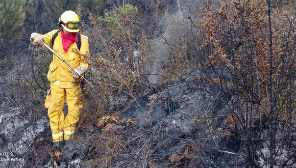 En total fueron 22 bomberos forestales del Santuario Histórico de Machupicchu y el Parque Nacional del Manu, quienes realizaron las labores en coordinación. (Foto: Sernanp)