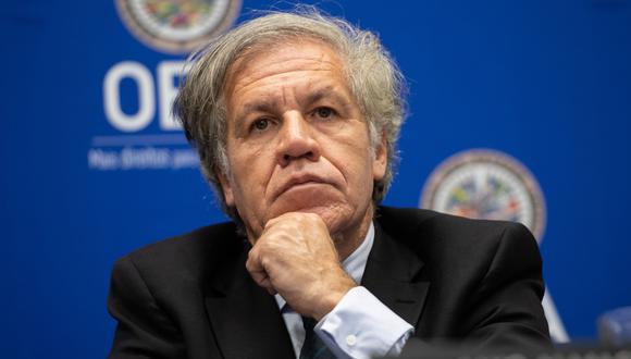 Luis Almagro, secretario general de la OEA (SAUL LOEB / AFP).