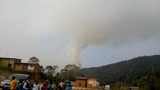 Puno: incendio forestal daña 115 hectáreas de cultivos de café y cítricos  