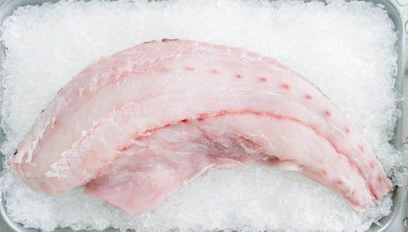 Pescado congelado, cierre el pescado fresco en el cubo de hielo o