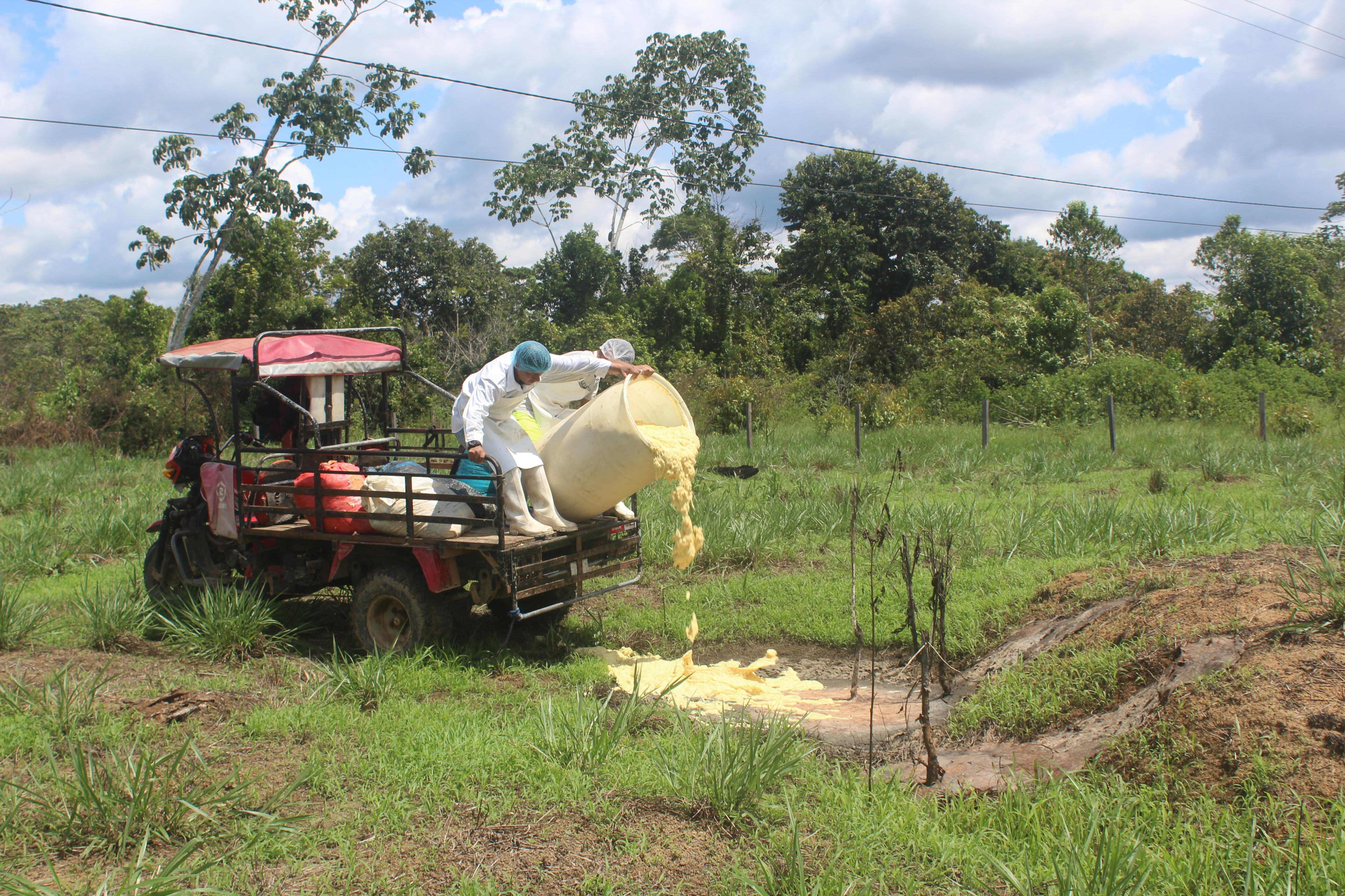 (Foto: Manuel Calloquispe)