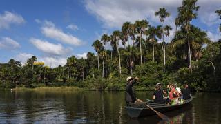 Lago Sandoval: cómo llegar a la maravilla amazónica y observar sus exóticas especies 
