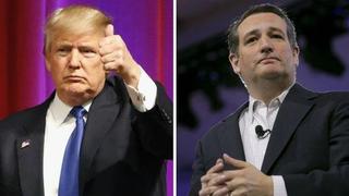 Donald Trump: "El apoyo Ted Cruz es una maravillosa sorpresa"