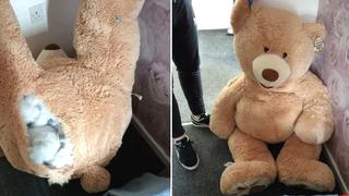 Un ladrón se escondió en un oso de peluche para escapar de la policía