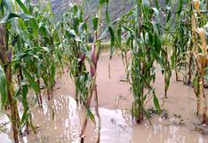 Senamhi: aumento del caudal del río Verde aumenta riesgo de su desborde en Puno