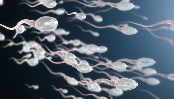El varicocele puede afectar la calidad del esperma. (Foto: Getty)