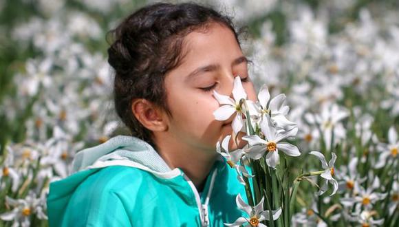 ¿A qué se debe la pérdida de olfato y cuál es su costo emocional?