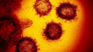 Coronavirus | ¿Cuánto se ha avanzado en el desarrollo de vacunas y medicamentos?