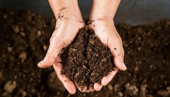 El compostaje humano es la nueva práctica de entierro ecológica (Foto: Getty Images)