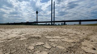 Europa se quema: la extrema sequía que tiene en alerta a casi la mitad del Viejo Continente