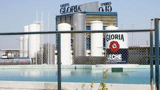Grupo Gloria construirá una planta de lácteos en Argentina
