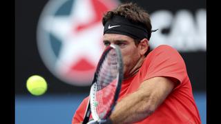 Del Potro ya está en las semifinales de Sidney