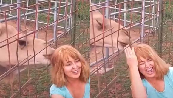 La mujer nunca esperó que el camello le arrancara un poco de cabello tras intentar tomarse una selfie. | Foto: @vids.by.dc