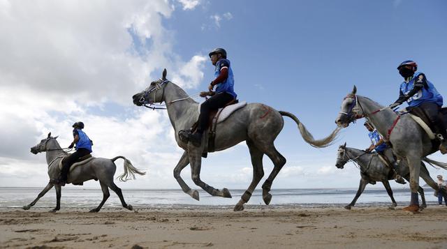 Las postales del mundial de equitación que alberga Francia - 1