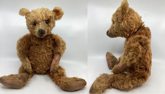 Viral, Compra un oso de peluche raro, descubre que data de 1905 y ahora  vale más de US$ 5 mil, nnda nnrt, VIRALES