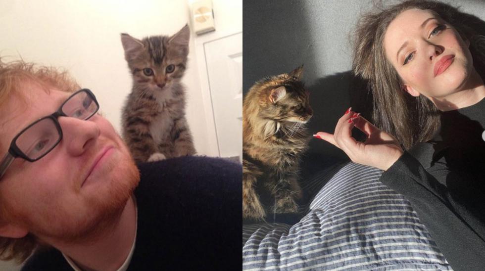 Ed Sheeran y Kat Dennings, amantes de los gatos entre otros estrellas internacionales. Fotos: Instagram.