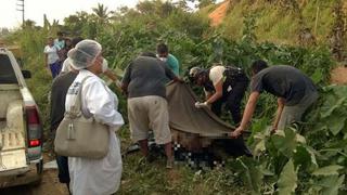 San Martín: una niña murió aplastada por un árbol