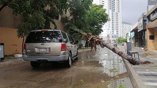 EN VIVO | Huracán Pamela toca tierra en México dejando intensas lluvias y daños menores | FOTOS