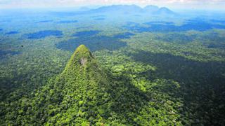 Áreas naturales retuvieron 3.170 millones de toneladas de carbono