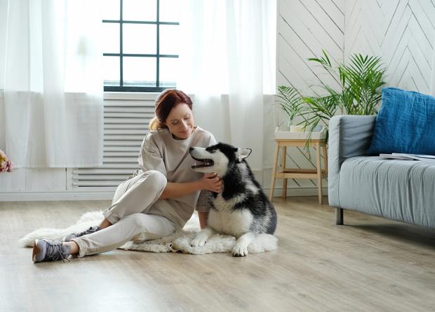 Estas terapias pueden fortalecer el vínculo entre los perros y sus dueños. Al participar en sesiones de terapia energética con sus mascotas, las personas pueden experimentar una mayor conexión emocional y un sentido de calma mutua.