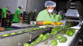 Agroexportaciones acumulan un avance de 13,1% a octubre, dice Minagri