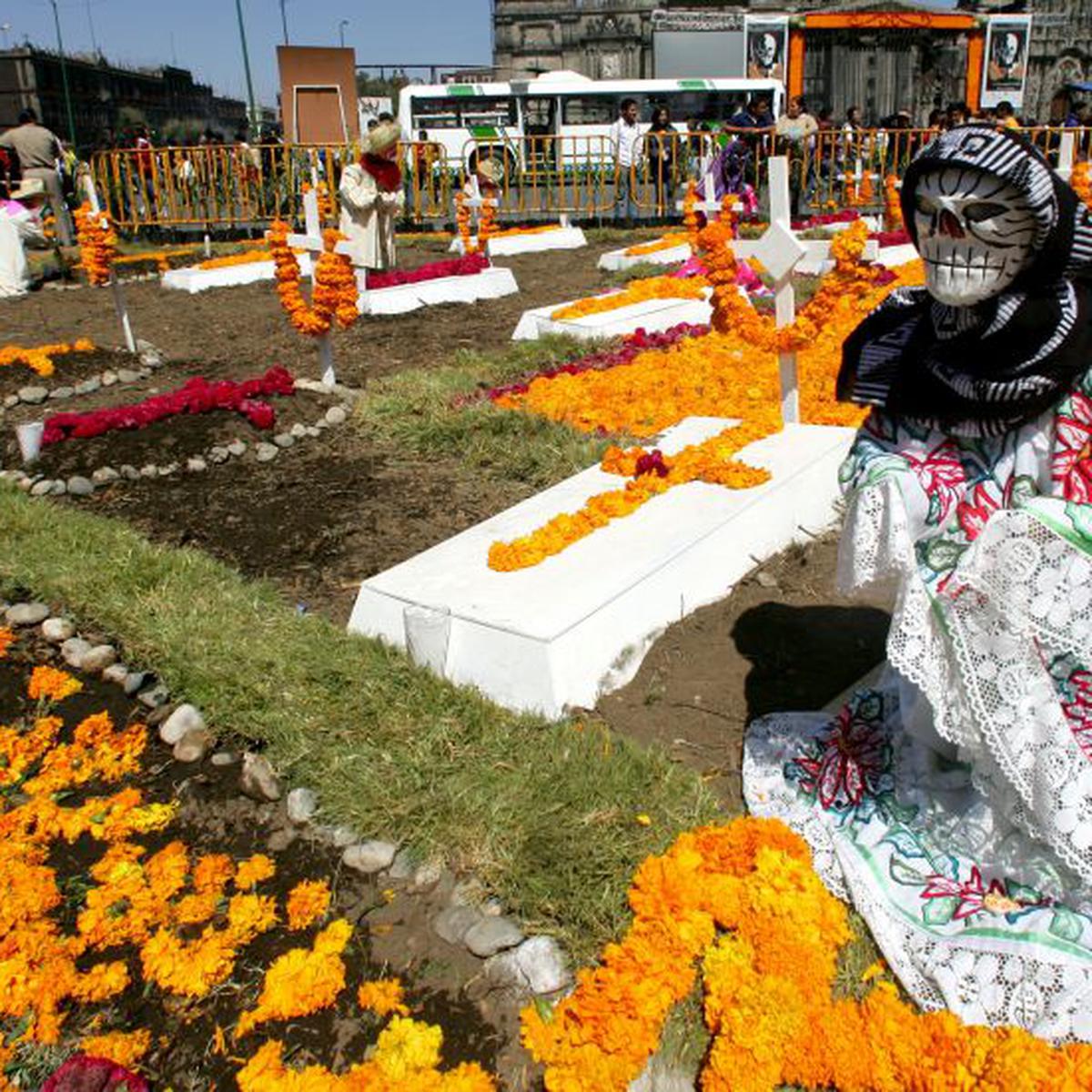 Flor de cempasúchil, la encargada de guiar a las almas hasta México en Día  de Muertos | MAG | MAG.