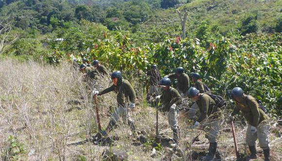 Las intervenciones forman parte de los lineamientos del Plan Anual de Reducción del Espacio Cocalero 2018 de la Estrategia Nacional de Lucha contra las Drogas (Foto: Mininter)