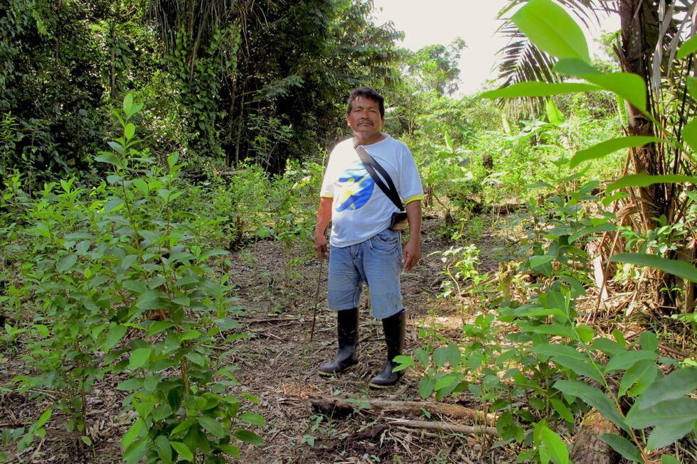 Pablo García, indígena tikuna, líder dentro de la comunidad Buen Jardín de Callarú. Foto: Alexa Vélez / Mongabay Latam