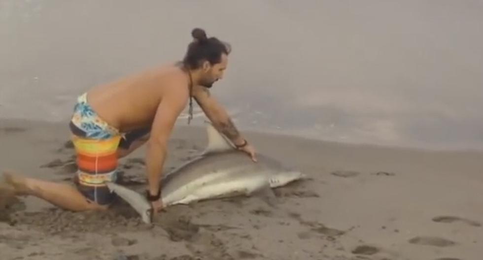 YouTube nos demuestra con este acto contra un tiburón bebé que el maltrato animal sigue vigente en todo el planeta. (Foto: captura)