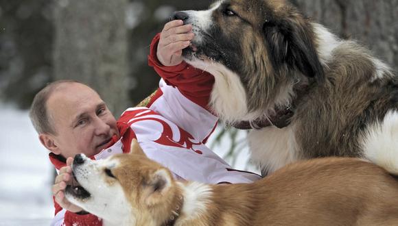 Imágenes como esta del presidente Putin jugando con perros en la nieve son compartidas en grupos de Facebook. (REUTERS)