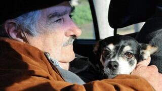 José Mujica, el expresidente que quiere ser enterrado junto a su perrita Manuela en Uruguay