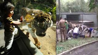Tigre le arranca el brazo a un niño en zoológico de Brasil