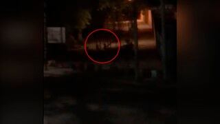 ¡Terrorífico! Joven afirma haber grabado a duendes jugando y este es el video