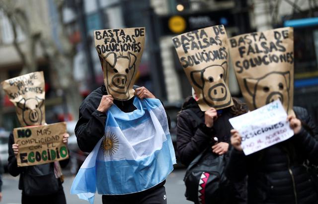 Manifestantes con bolsas de papel con cerdos dibujados en la cabeza, marchan hacia el Palacio Presidencial Casa Rosada en demanda de una ley de humedales y para protestar contra el acuerdo entre Argentina y China para producir y exportar carne de cerdo. (REUTERS/Agustin Marcarian).