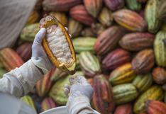 Q’uma, la marca de chocolate orgánico que da trabajo a pequeños agricultores y los ayuda a emprender   
