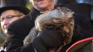 Estados Unidos: La marmota Phil pronostica un corto invierno