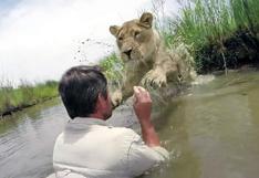 El encantador de leones: leona adulta salta a abrazar a hombre que la rescató