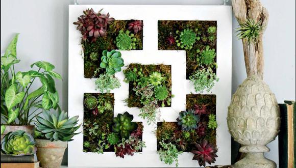 Un video de la página Ideas en 5 minutos nos brinda las pautas para decorar con mucho estilo con plantas suculentas.(Foto: Ikea)