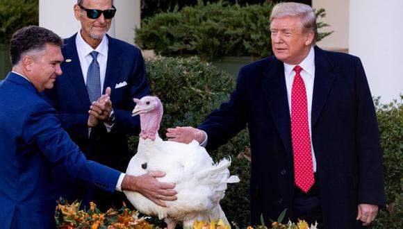 Donald Trump perdonó este martes a “Butter” (mantequilla en español), un pavo de 21 kilos, como parte del tradicional evento anual en la Casa Blanca por el Día de Acción de Gracias. (Foto: EFE)