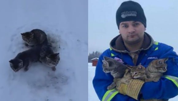 El hombre decidió compartir en las redes sociales el video donde aparece rescatando a los mininos (Foto: Facebook)